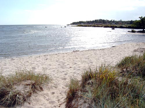 omgivning03.jpg (68548 bytes)
